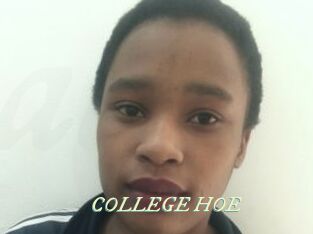 COLLEGE_HOE Année du sexe
