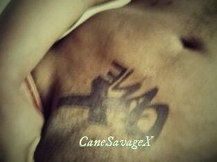 CaneSavageX Année du sexe