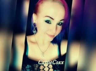 CarlieCoxx Année du sexe