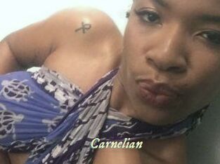 Carnelian Année du sexe