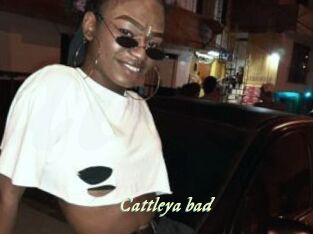 Cattleya_bad