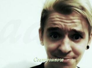 Ceamyounow