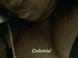 Ceslestrial
