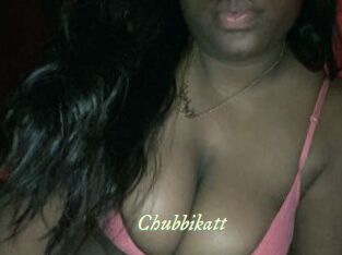Chubbikatt Année du sexe