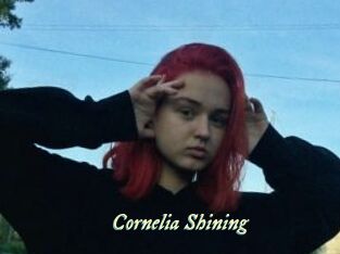 Cornelia_Shining Année du sexe