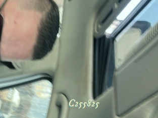 c255825 Année du sexe