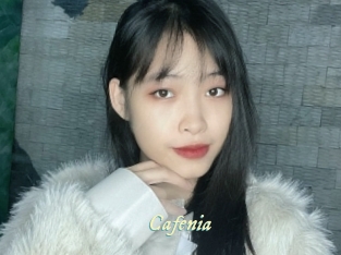 cafenia Année du sexe
