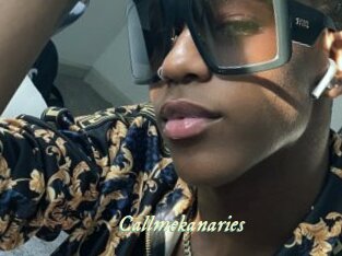 Callmekanaries