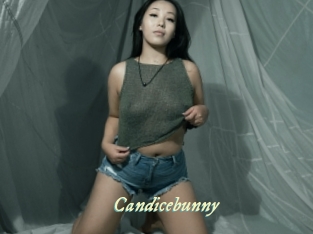 Candicebunny