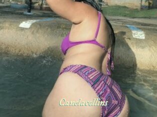 Canelacollins