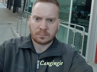 Cangingie