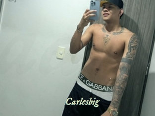 carlesbig Année du sexe
