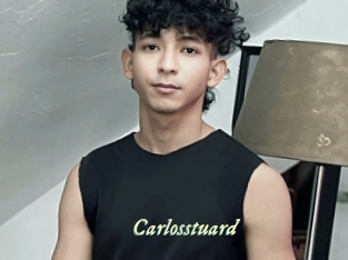 carlosstuard Année du sexe
