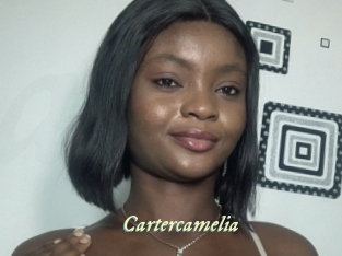 cartercamelia Année du sexe