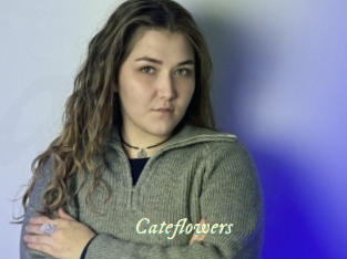 Cateflowers