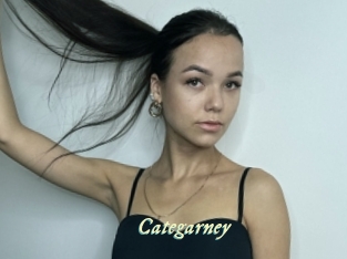 Categarney
