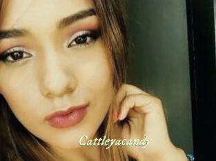 Cattleyacandy