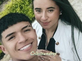 celesteandroy Année du sexe