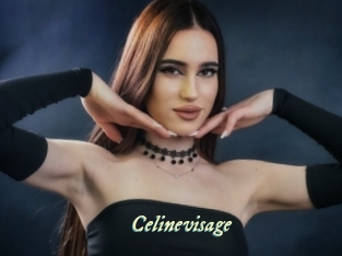 celinevisage Année du sexe