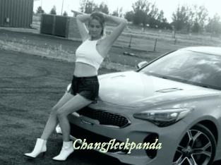 Changfleekpanda