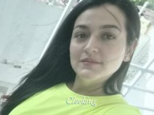 Cloeking