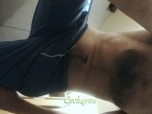 cock4you Année du sexe