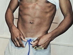 collin Année du sexe