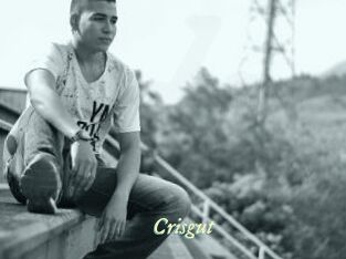 Crisgut