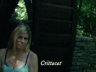 Crittacat