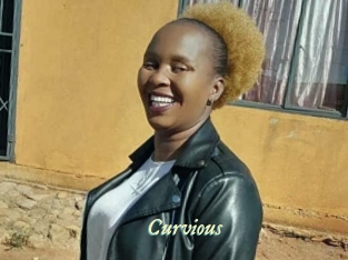 curvious Année du sexe
