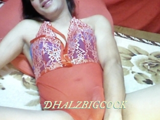 DHALZBIGCOCK Année du sexe