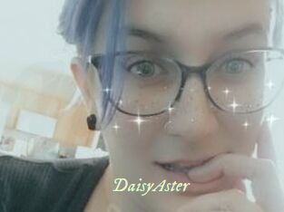 DaisyAster