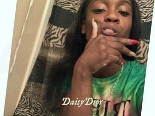 DaisyDior