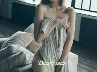 DaisyFinch