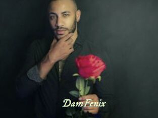 DamFenix