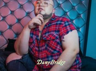 DanyBridge