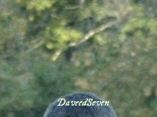DaveedSeven