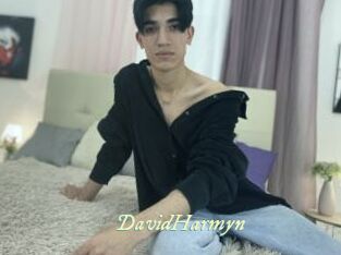 DavidHarmyn