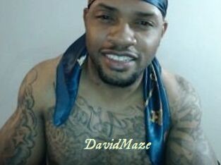 David_Maze