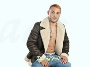 DavidPoll