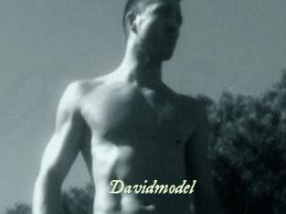 Davidmodel