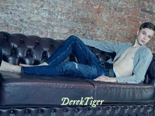 DerekTiger