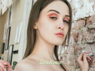DiaRouse