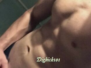 Digbick101
