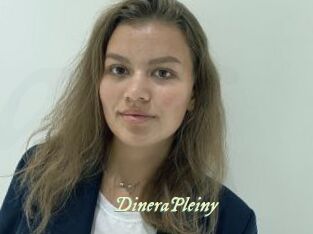 DineraPleiny