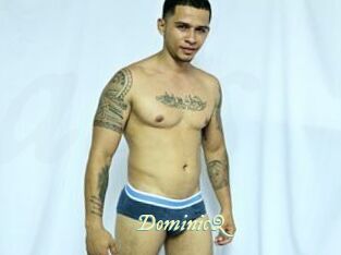 DominicQ