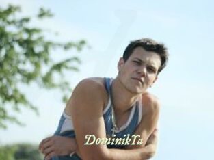 DominikYa
