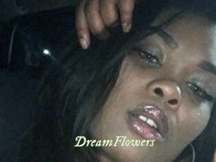 DreamFlowers