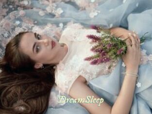 DreamSleep
