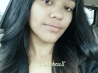 DutchessX